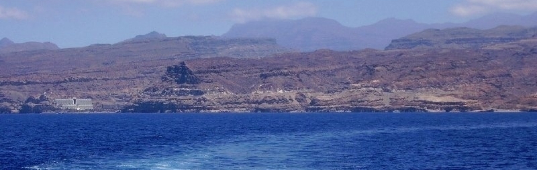 Mandaru